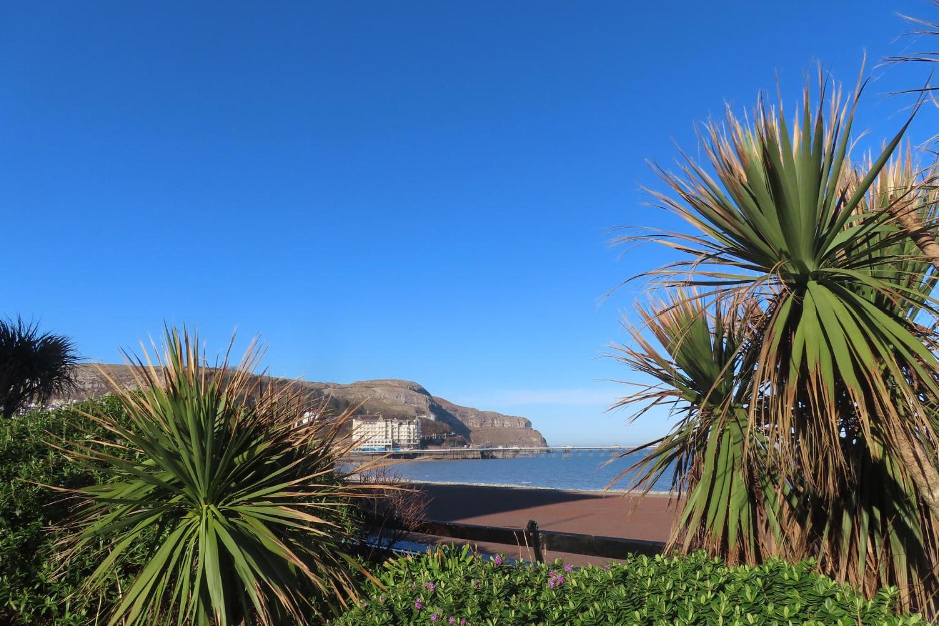 Noah'S Rest Llandudno Exterior foto